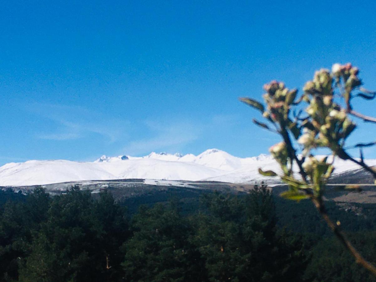 هووس ديل إسبينو Cara Norte De Gredos المظهر الخارجي الصورة